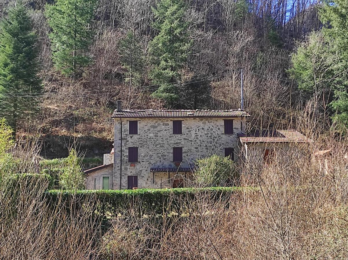Casa Vacanze Il Boscaccio "Casa Massimo" Fornovolasco Luaran gambar