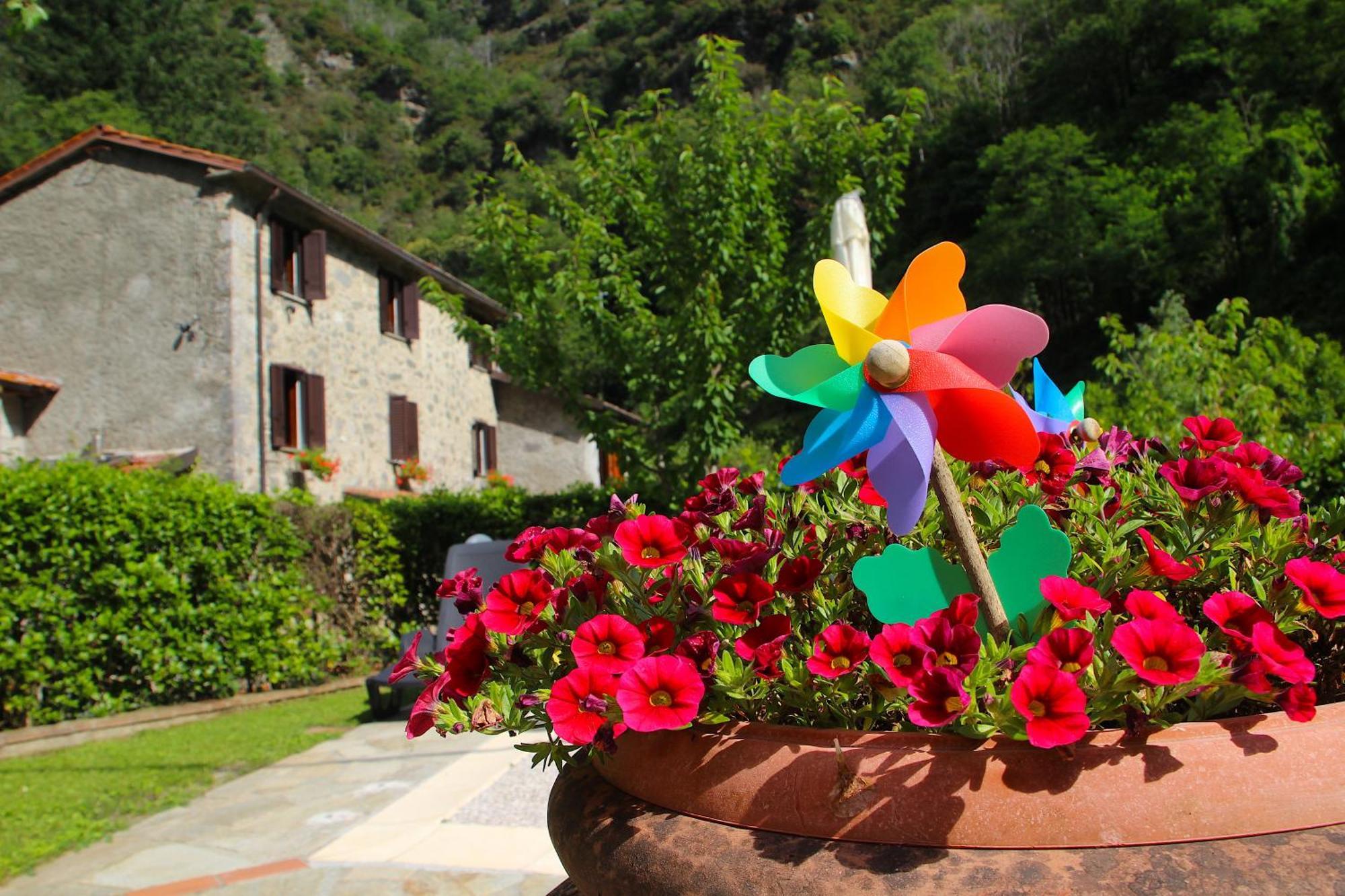 Casa Vacanze Il Boscaccio "Casa Massimo" Fornovolasco Luaran gambar
