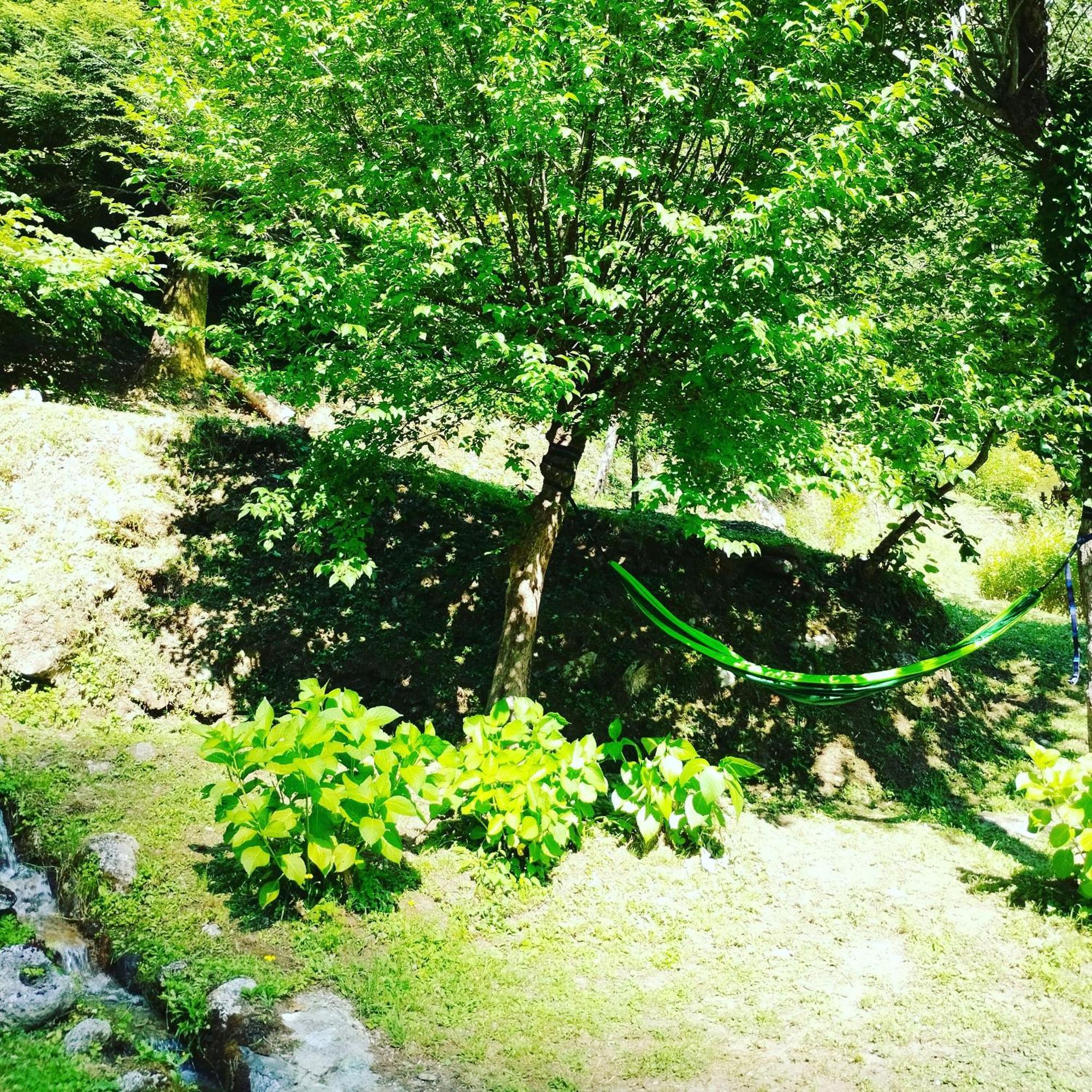 Casa Vacanze Il Boscaccio "Casa Massimo" Fornovolasco Luaran gambar