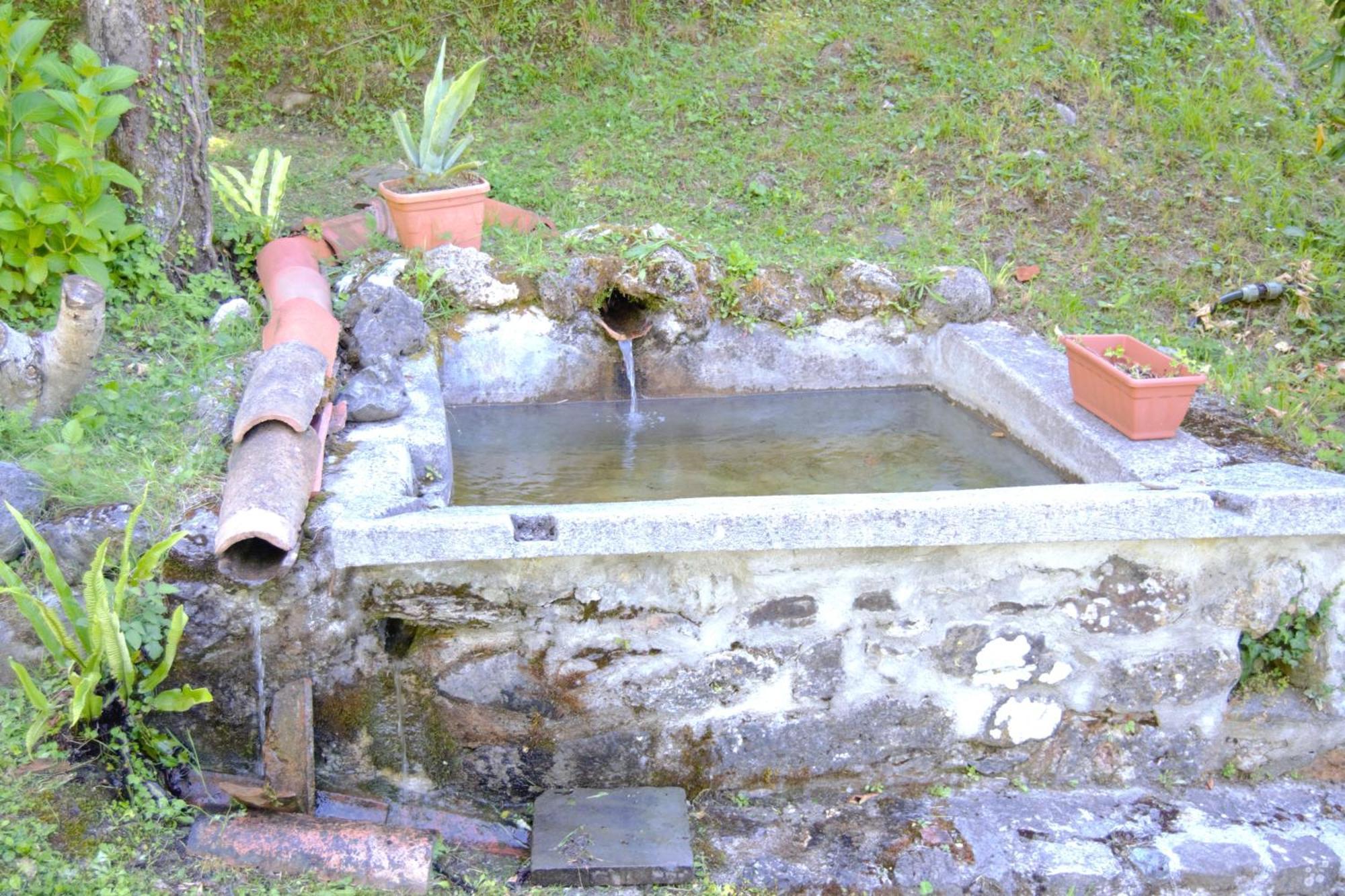 Casa Vacanze Il Boscaccio "Casa Massimo" Fornovolasco Luaran gambar